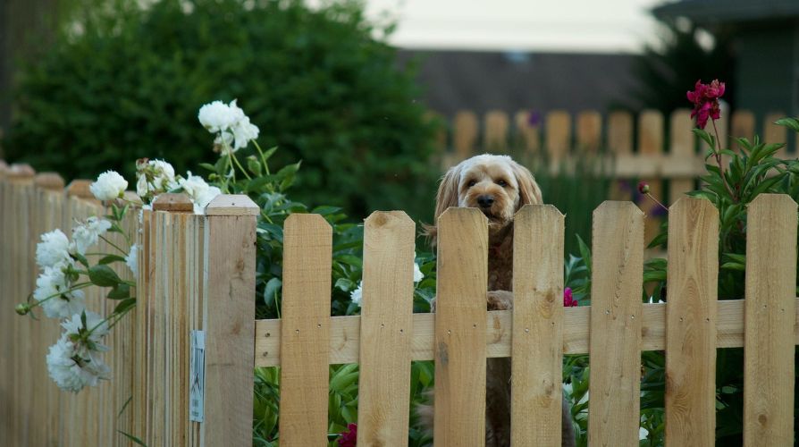 How to Choose a Fence That Matches Your Lifestyle